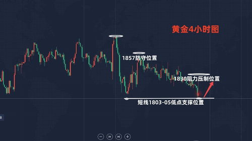 金沃股份控股股东与实控人等承诺最近一年内不减持