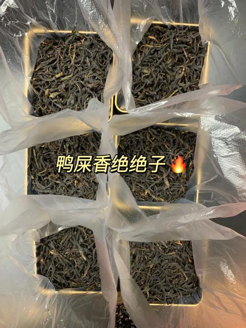 **
“鸭屎香火出圈茶叶供不应求的背后故事”

**PPT大纲