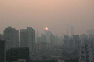 全红婵，跳水台上的璀璨星辰，非宫斗大女主的传奇篇章